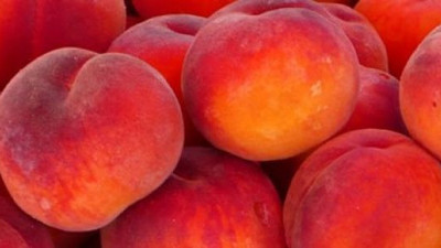 Kalorisi düşük şifa bombası: Şeftali