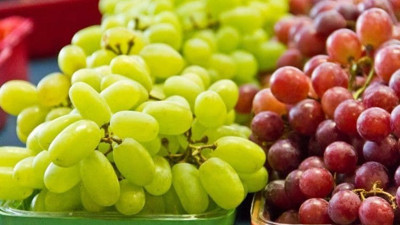 En güçlü hücre yenileyici: Üzüm