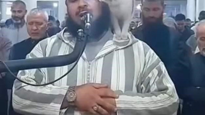 Kedi namaz kıldıran imamın omzuna zıpladı. Video sosyal medyada izlenme rekorları kırdı