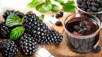 Karadut yaşlanmayı nasıl engelliyor