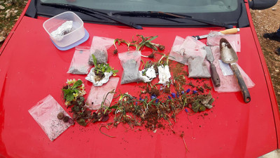 Slovakyalı biyokaçakçılara suçüstü