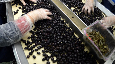 Marmarabirlik'ten ortaklarına bayram öncesi ödeme