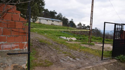 Alacak kavgasında arkadaşını tüfekle öldürdü