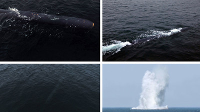 Kuzey Kore'den nükleer saldırı denemesi