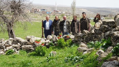 Siirt'te köylülerin 'ağlayan gelin' mesaisi: Çalınmaması için başında nöbet tutuyorlar