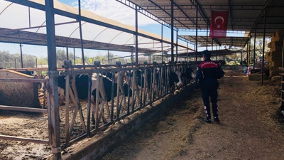 Çiftçilere hayvan hırsızlığına karşın uyarıldı