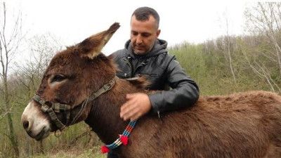 Sahibinden satılık eşek. Fiyatı aaaaa dedirtti