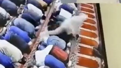 ABD'de korkunç olay. Türk vatandaşı namaz kıldıran imamı sırtından bıçakladı