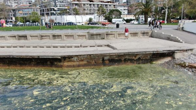 Marmara Denizi'nde görüldü. Kabus hortladı
