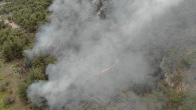 Bilecik'te ormanlık alanda yangın