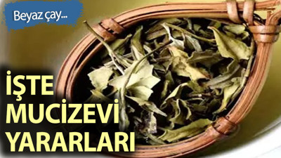 Beyaz çayın az bilinen yararları