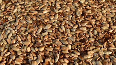 Rüyada çekirdek görmek ne demek?