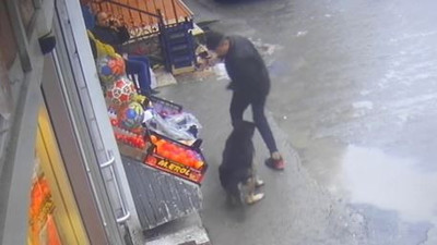 Isıran köpeğe tekmeli dayak