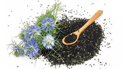 Her derde deva. Bağışıklığı güçlendiriyor. Kanser hücrelerini yavaşlatıyor