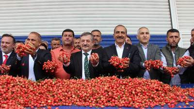 İlk kiraz hasadı yapıldı. Fiyatı dudak uçuklattı