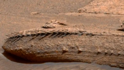 Mars'taki 'iskeletin' gizemi çözüldü. NASA’nın uzay aracı tesadüf eseri çekmişti