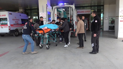 Tarlaya giren hayvan kavgası kanlı bitti: 1 ölü, 1 ağır yaralı