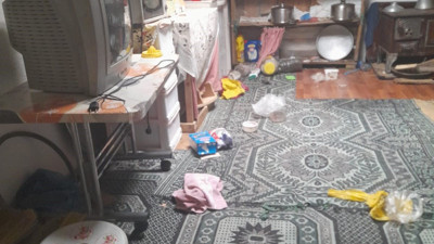 Ayılar yayla evlerine dadandı