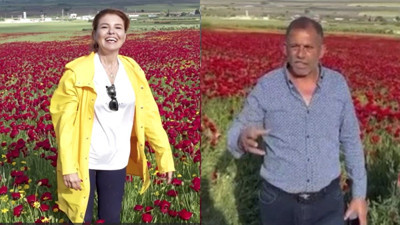 Gelincik tarlasından yardım çağrısı yapan Gülben Ergen tarla sahibini kızdırdı