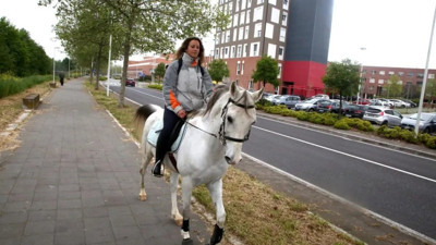 Patronuna kızan kadından ilginç protesto: İşin içine at karıştı
