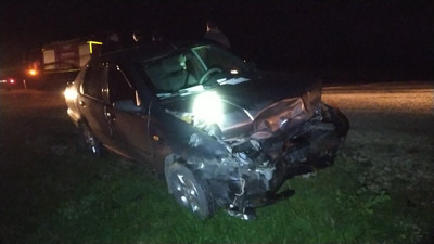 Domuz sürüsü karayoluna indi. Sürüye çarpan otomobil pert oldu