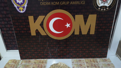 Sahte para dolandırıcıları kıskıvrak yakalandı