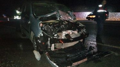 Aracın çarptığı geyik telef oldu: 2 yaralı