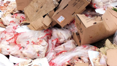 Paketli bütün ve parça tavuklar ormanlık alana döküldü