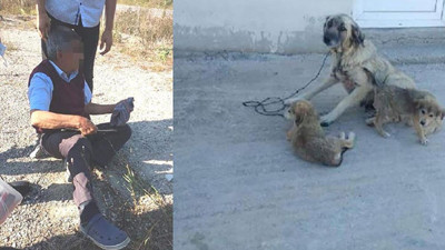 Köpeği ağaca bağlayıp cinsel saldırıda bulunmuştu! Cezası belli oldu