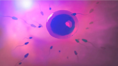Beş yüzden fazla çocuğun babasına sperm bağışlama yasağı getirildi