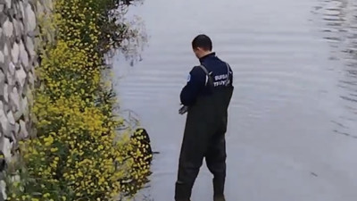 Bursa'da dereye düşen köpek kurtarıldı