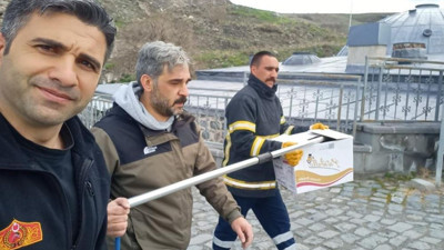 Yaralı tilkiyi itfaiye ekipleri kurtardı