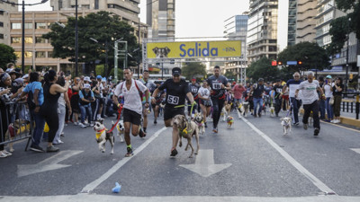 Hayvan sahiplenmeyi teşvik etmek için yarışma düzenlendi