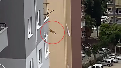 Ağır hasarlı binadan kurtarılmaya çalışılan kedi 14’üncü kattan atladı