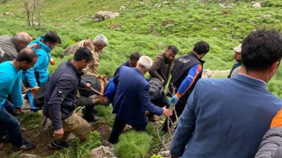 Yaban bitkisi uğruna canından oldu