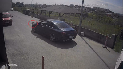 Böyle vicdansızlık görülmedi. Köpeği ezdi hiç bir şey olmamış gibi yoluna devam etti (02 Mayıs 2023)