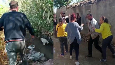 Hatay'da köpeğe işkence kamerada