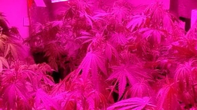 Evini seraya çevirdi