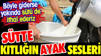 Sütte kıtlığı ayak sesleri. Böyle giderse sütü de ithal ederiz