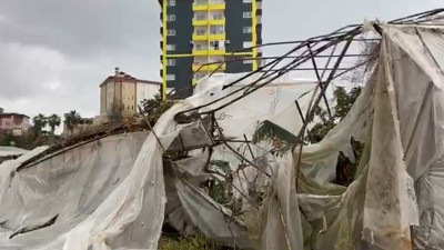 Kuvvetli rüzgar seraları yerle bir etti