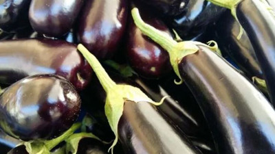 İşte basuru bitiren mucize bitki