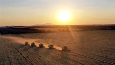 Hububat ve bakliyat ihracatı 4 ayda 3,8 milyar dolara ulaştı