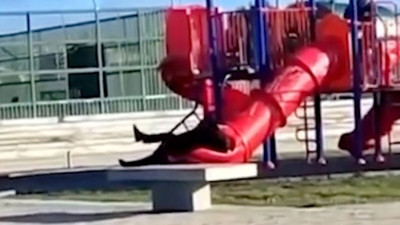 Şili Devlet Başkanı çocuk kaydırağında sıkıştı