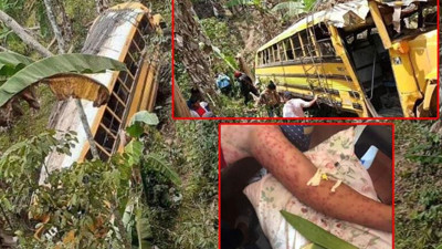 Böylesi daha önce görülmedi. Uçurumdan düşen otobüs kazasıyla değil katil arı saldırısıyla öldüler