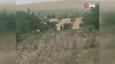 Cerablus’da patlama: 1 ölü, 2 yaralı. O anlar kamerada