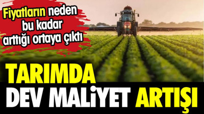 Tarımda dev maliyet artışı