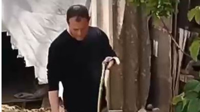 Yılan evin bahçesinde girdi. Her yerden fışkırıyor