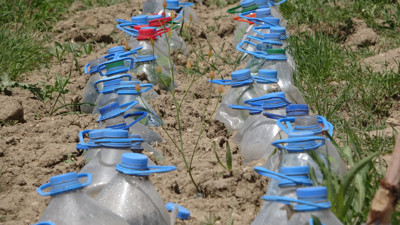 Çöpten topladı tarıma başladı