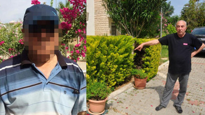 Komşusunun ağaçlarını kesti, 6 yıl hapsi istendi