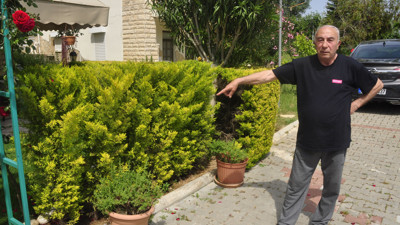 Komşusunun ağaçlarını kesmekten 6 yıl hapsi istendi